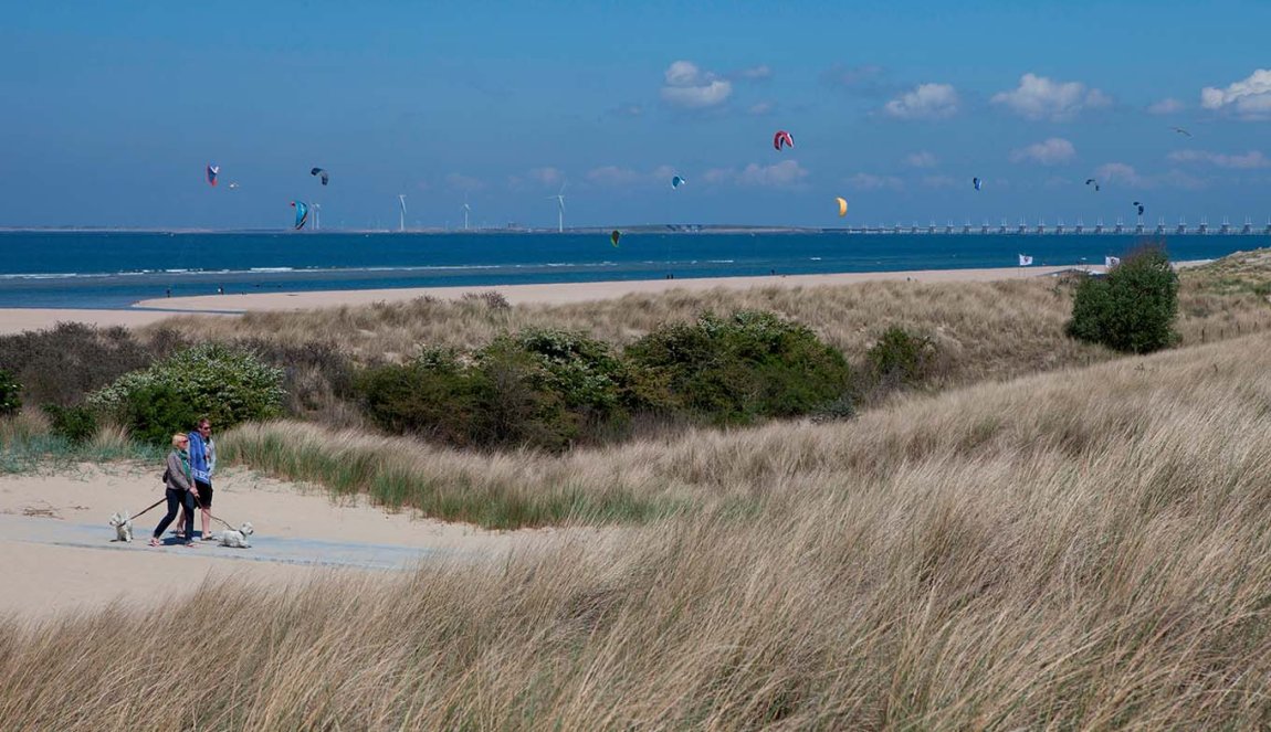 Vrouwenpolderse duinen met kiters en zee Vrouwenpolderse duinen met kiters en zee
