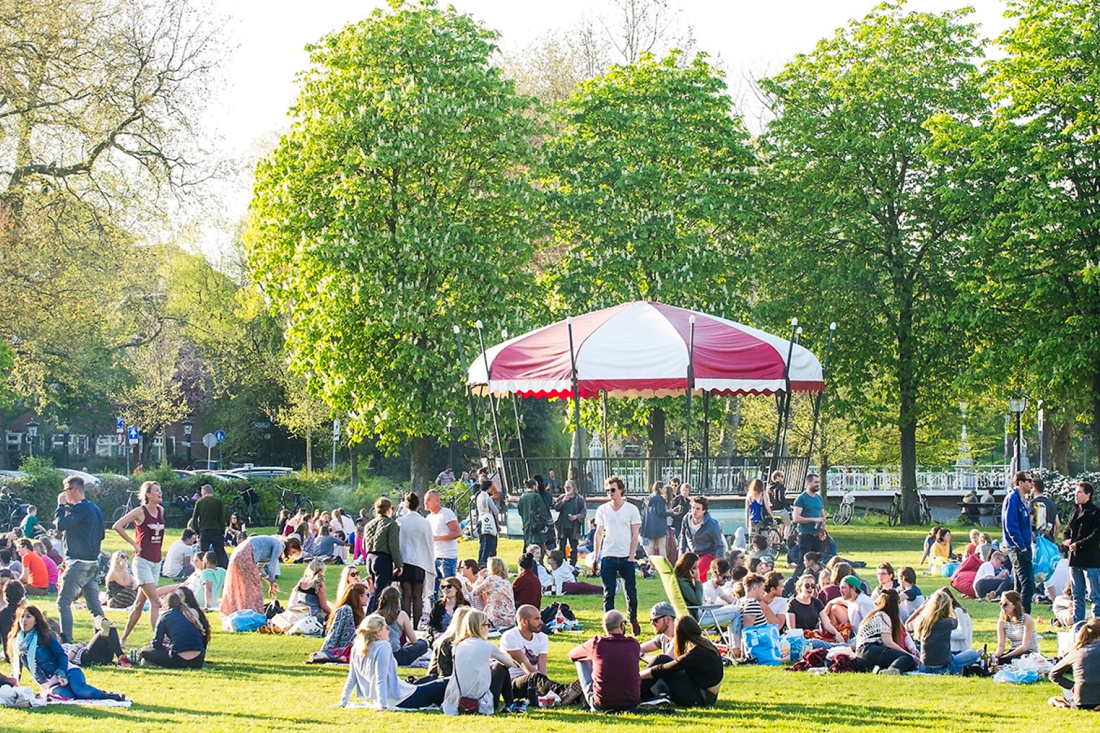 Studenten zitten in Park Lepelenburg op het gras