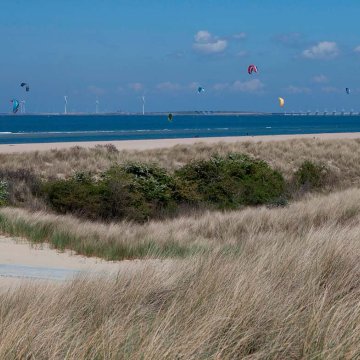 Vrouwenpolderse duinen met kiters en zee