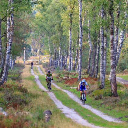 In een bos op de Veluwe zien we drie mountainbikers over een pad fietsen