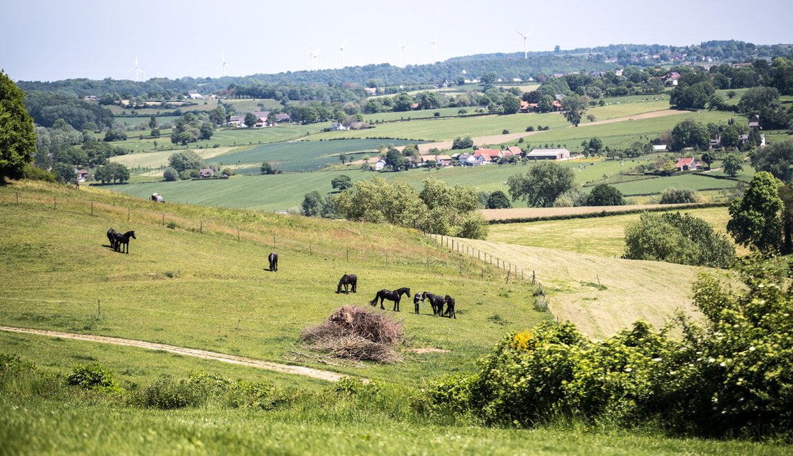 Uitzicht over heuvelland met paarden bij Epen in Zuid-Limburg Uitzicht over heuvelland met paarden bij Epen in Zuid-Limburg