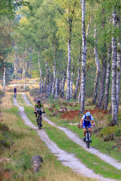 In een bos op de Veluwe zien we drie mountainbikers over een pad fietsen