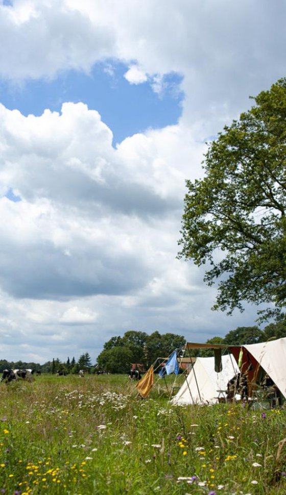 Landgoedcamping Poelhuis