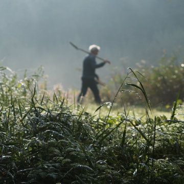 Gras met op de achtergrond een man met schep