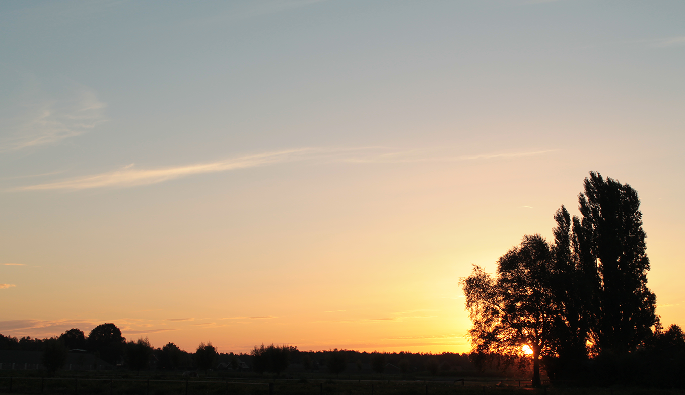 Zonsopkomst achter bomen Zonsopkomst achter bomen