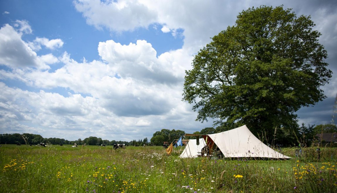 Landgoedcamping Poelhuis Landgoedcamping Poelhuis